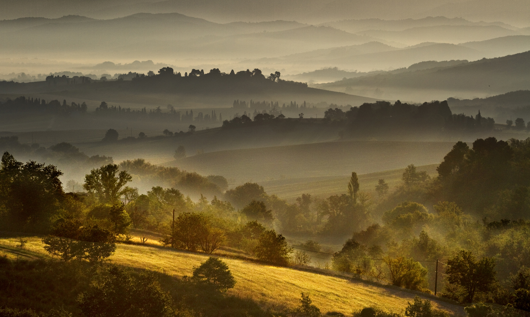 The Welsh Photographic Federation